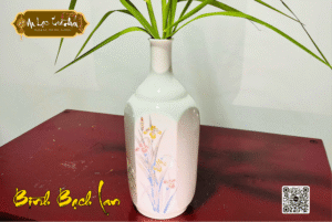 binh bach lan 1