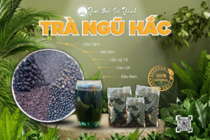 tra ngu hac 1 1